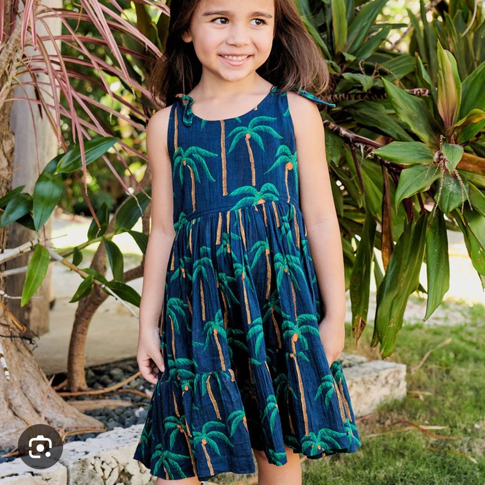 EUC Pink Chicken Taylor Dress in Navy Palm Trees Sz 3